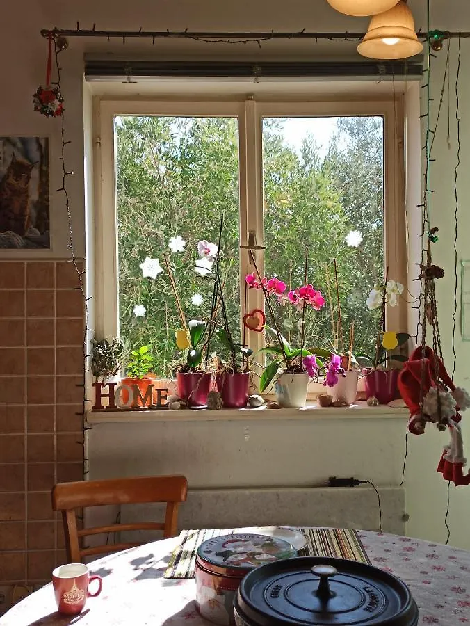Maslinov Hlad Apartment Barbat na Rabu Croatia
